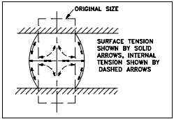 Figure 7: Malleable Deformation of a Cylinder Under Uniform Axial Compression