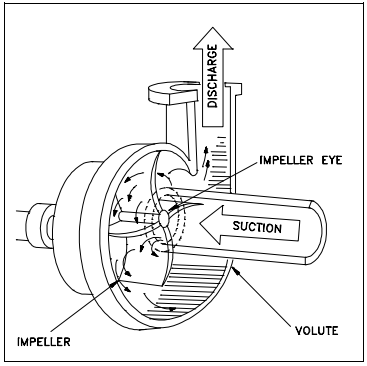 Figure 1 Centrifugal Pump