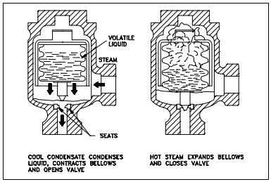 Figure 18: Bellows-Type Steam Trap