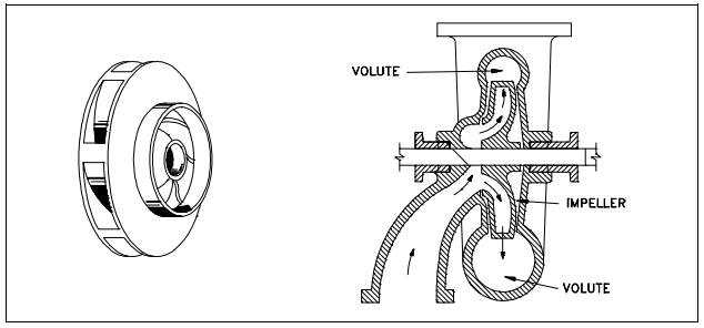 Figure 6 Radical Flow Centrifugal Pump